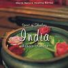 CD MAKOTO KUBOTA - Spirit Of Healing - India - DHS504 Della 2006 Japan Japanese Pop/Rock Used