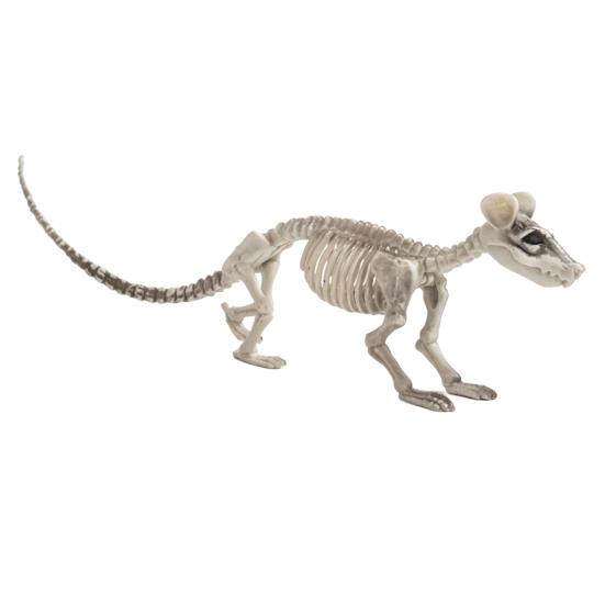 Halloween Skeleton Animal Decoration Creepy Cat/Dog/Bird/Rat/Goat Head Plastic Bones for Courtyard Graveyard Halloween Decor