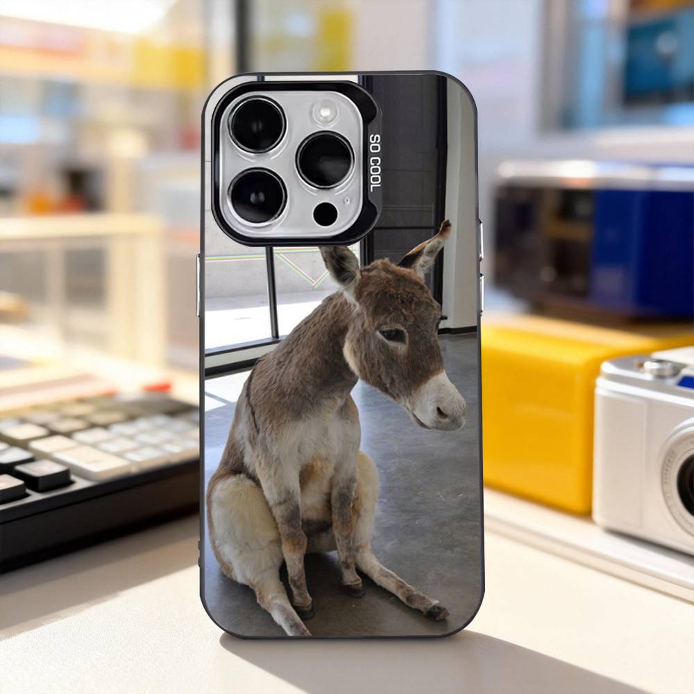 Funny Donkey Cute For iPhone 11,12,13,14,15,16,17,Pro,Max,Plus,E,Air,Mini Phone Case IMD Matte Black