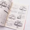 Sketching for Beginners: Step-by-Step Texture Drawing Book with Online Course