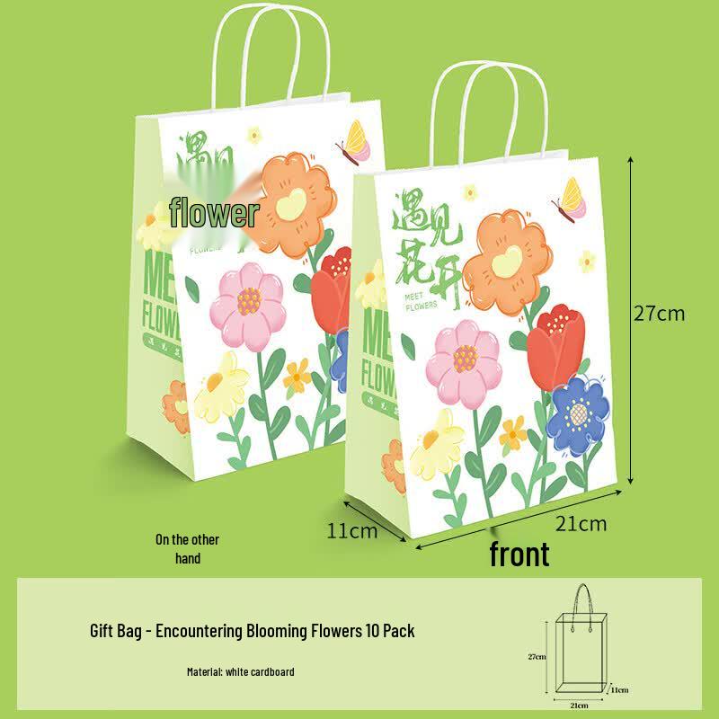 Hua Dian Xin Yi Gift Bags