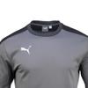 Puma Training Sweat Team Goal 23