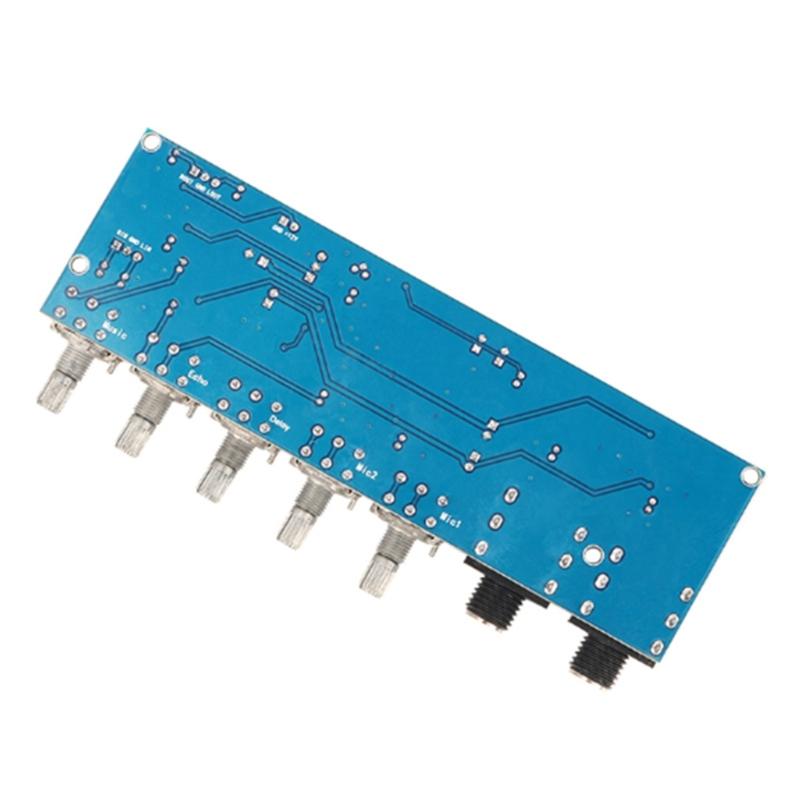 Professional Sound Amplifier Module with Build In Delay And Effects Suitable for Karaoke Systems & Performances