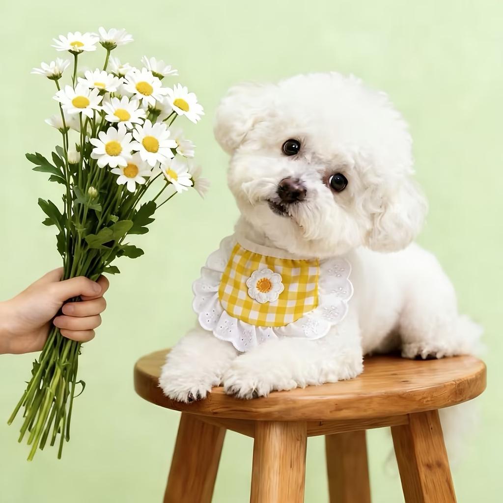 2pcs Checkered Dog Bib Set, Lace Trim Pet Bandana with Flower for Small Dogs