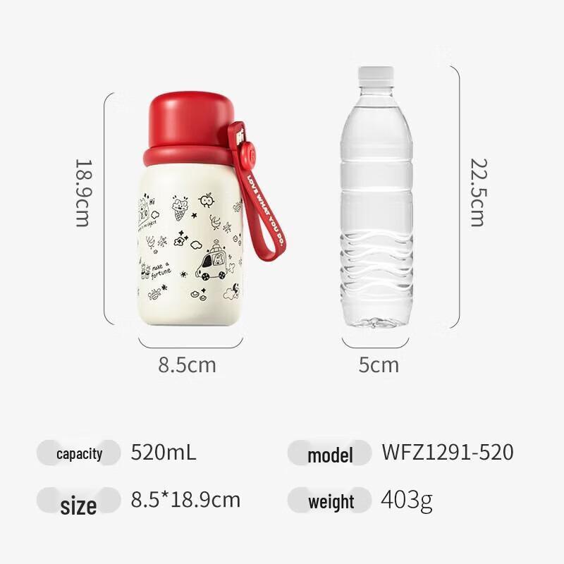 

FUGUANG 316L Stainless Steel Insulated Water Bottle
