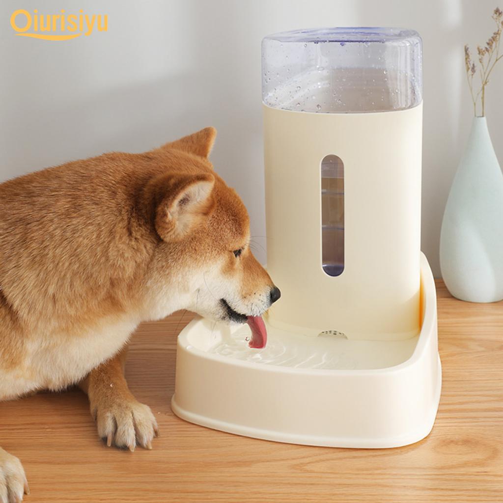 large dog self feeder