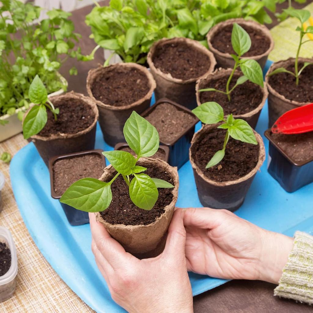 3 Pack Air Plant Holders - Metal Planter Stand Air Plants Flower Pot Rack Apply to Home Weddings Decor(Black, 2" x 2.1")