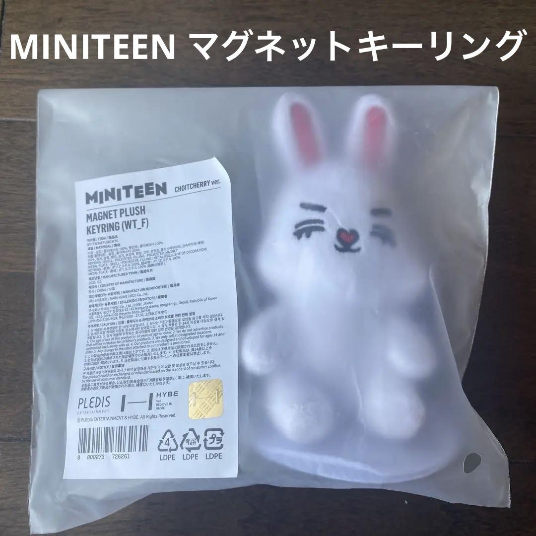 

[Б/У] SEVENTEEN MINITEEN S.COUPS Магнитный брелок для ключей