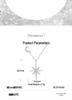 Moissanite Eight-Pointed Star Sterling Silver Necklace – Stylish & Versatile Clavicle Jewelry