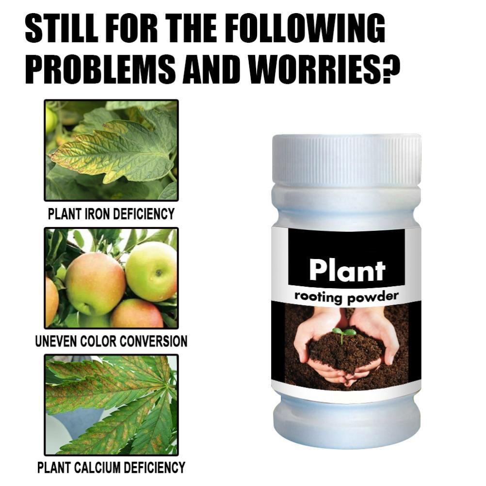 Quick Rooting Powder Fast Plant Flower Rooting Powder Quick Growth Transplant Fertilizer for