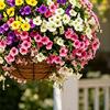 Fiori Artificiali da Giardino Resistenti ai Raggi UV Petunie, Fiori Finti da Esterno per Patio Portico Vasi Appesi, Piante Realistiche Decorazione Interna