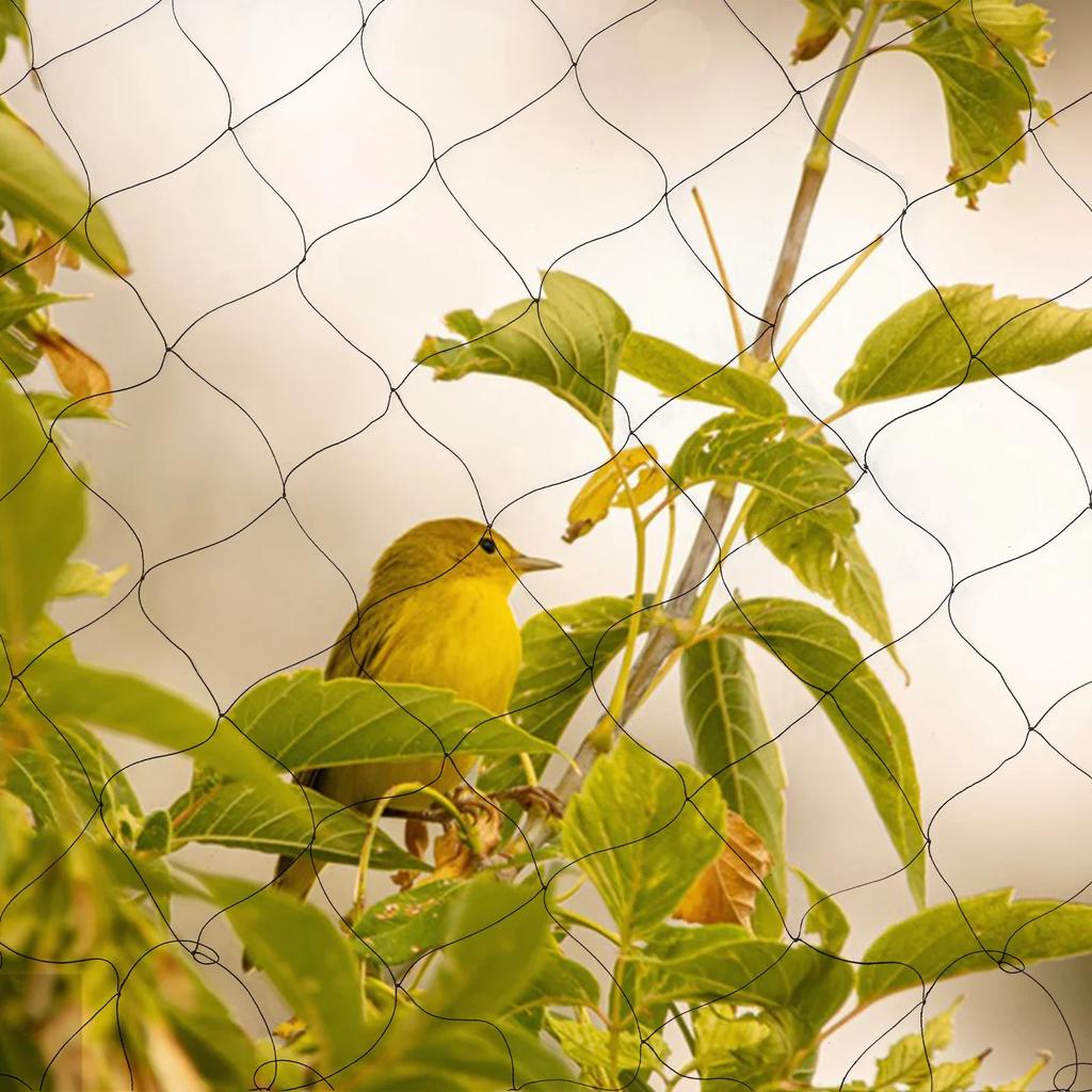Bird Protection Net, 30 X 15 M, Stable Bird Net, Black Aviary Net, Plant Net, Pond Net, Garden Net, Pond Cover Net for Garden