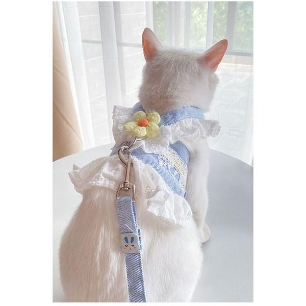 Yukigogo Pet Lace Flower Harness Set, Blue