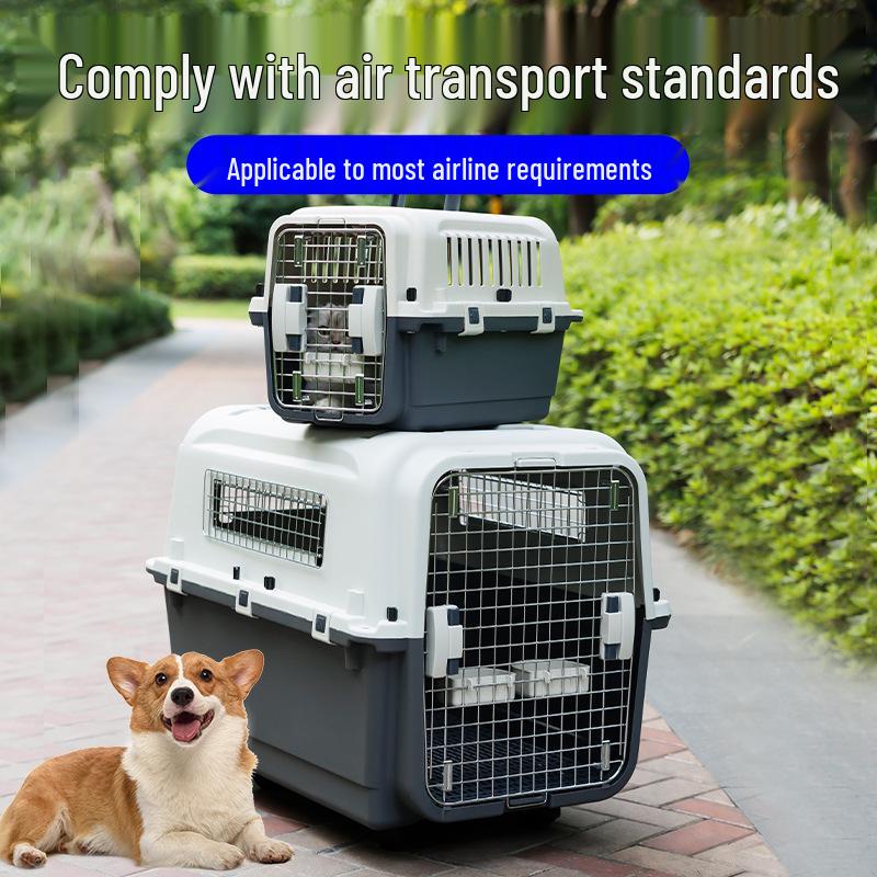 Portable Plastic Pet Carrier for Small/Medium Pets - Detachable Airline-Approved Transport Box