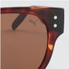 Puma Galleria Puma Sonnenbrille Pu0270s 002 Quadratisch Herren Damen