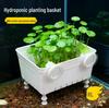 Large Aquatic Planting Basket with Suction Cup for Hydroponics and Aquarium Decoration