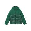 Originals Adicolor Classics Daunen-Pufferjacke mit Kapuze Herren Oberbekleidung Grün IL2566