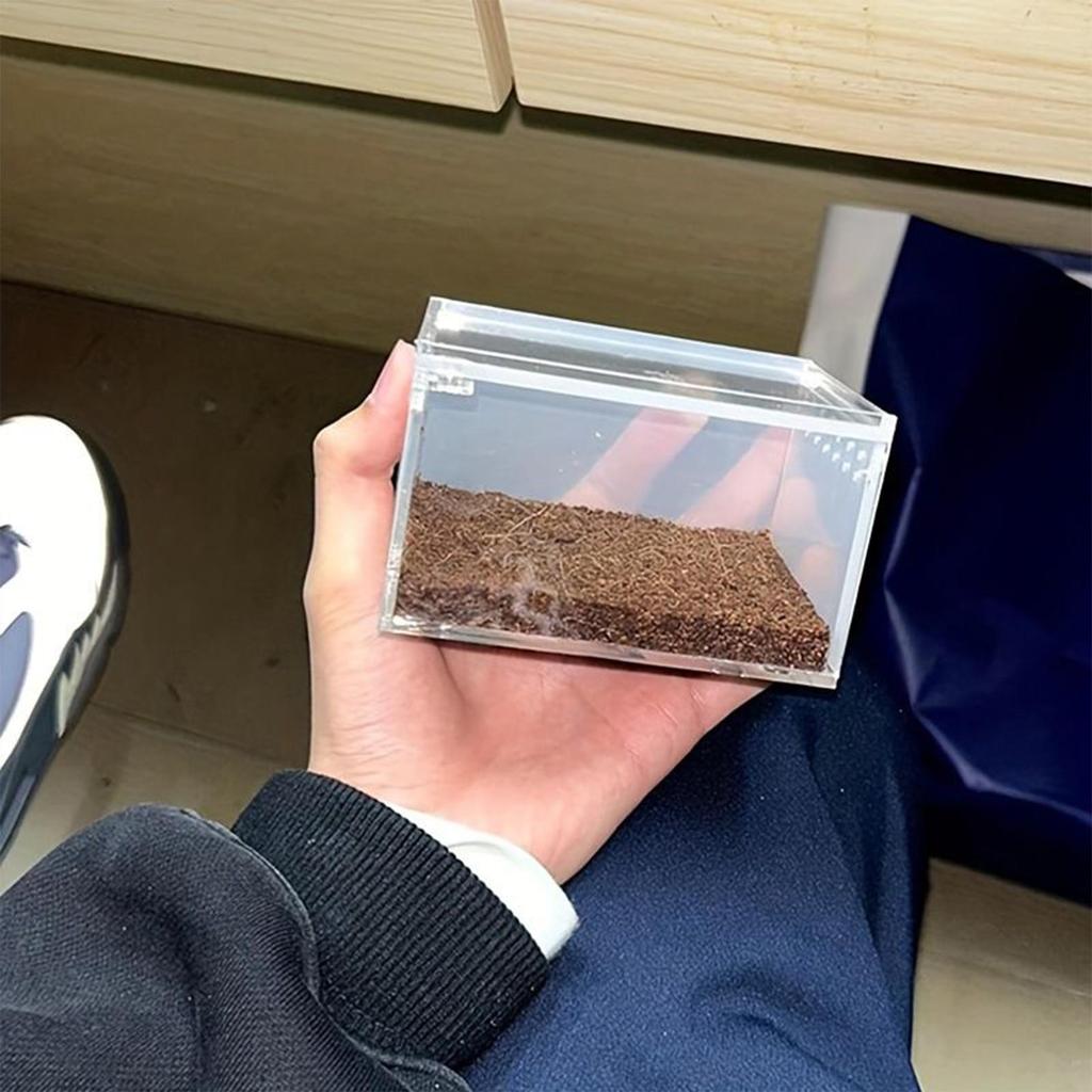 Spider Terrarium Transparent Gecko Breeding Tank Acrylic Snake Enclosure For Lizard Frog Gecko Snail Turtle Observation Breeding