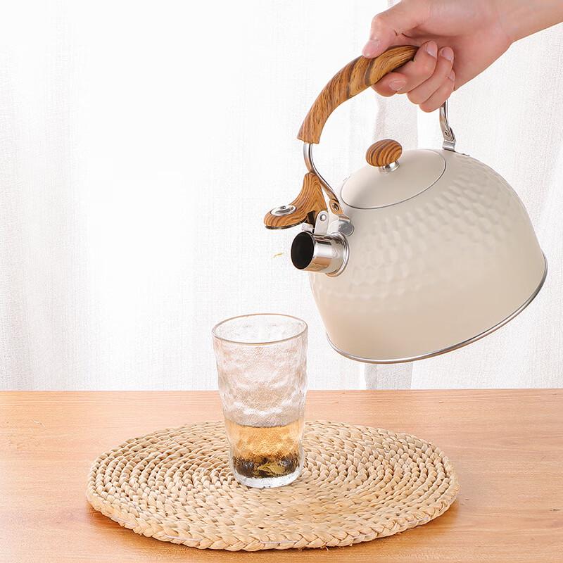 Stainless Steel Whistling Kettle