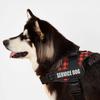 Reflective Dog Harness Vest Patch ID Customized NO PULL Breathable Adjustable Pet Harness For Dog Outdoor Walking Dog Supplies