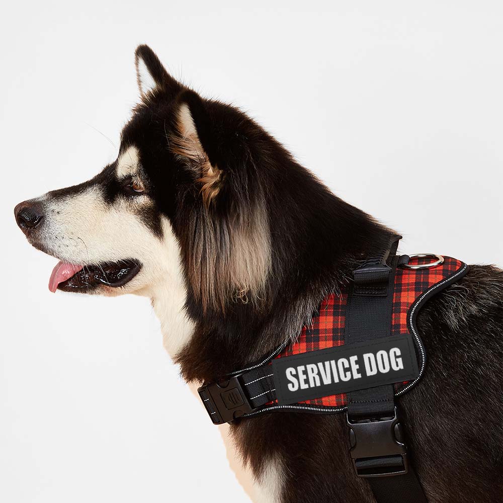 Reflective Dog Harness Vest Patch ID Customized NO PULL Breathable Adjustable Pet Harness For Dog Outdoor Walking Dog Supplies