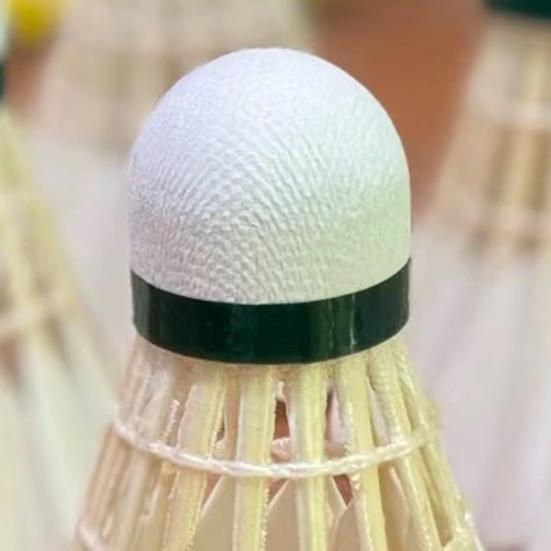 12Pcs Professional Badminton Shuttlecocks Tournament Grade Training Badminton Shuttlecocks High Speed Stable Flight Sport Accessories