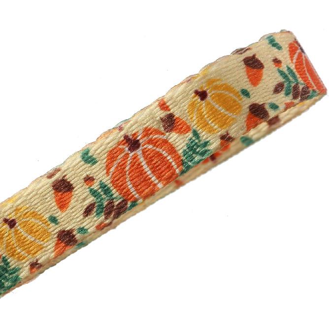 Thanksgiving Cat Collar,Pack of 2 Kitten Collar with Bell