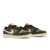 Nike Dunk Low SE 'Gone Fishing - Rainbow Trout' (Unisex) Sequoia / Safety Orange / Desert Berry / Alabaster Skate Shoes FN7523 300