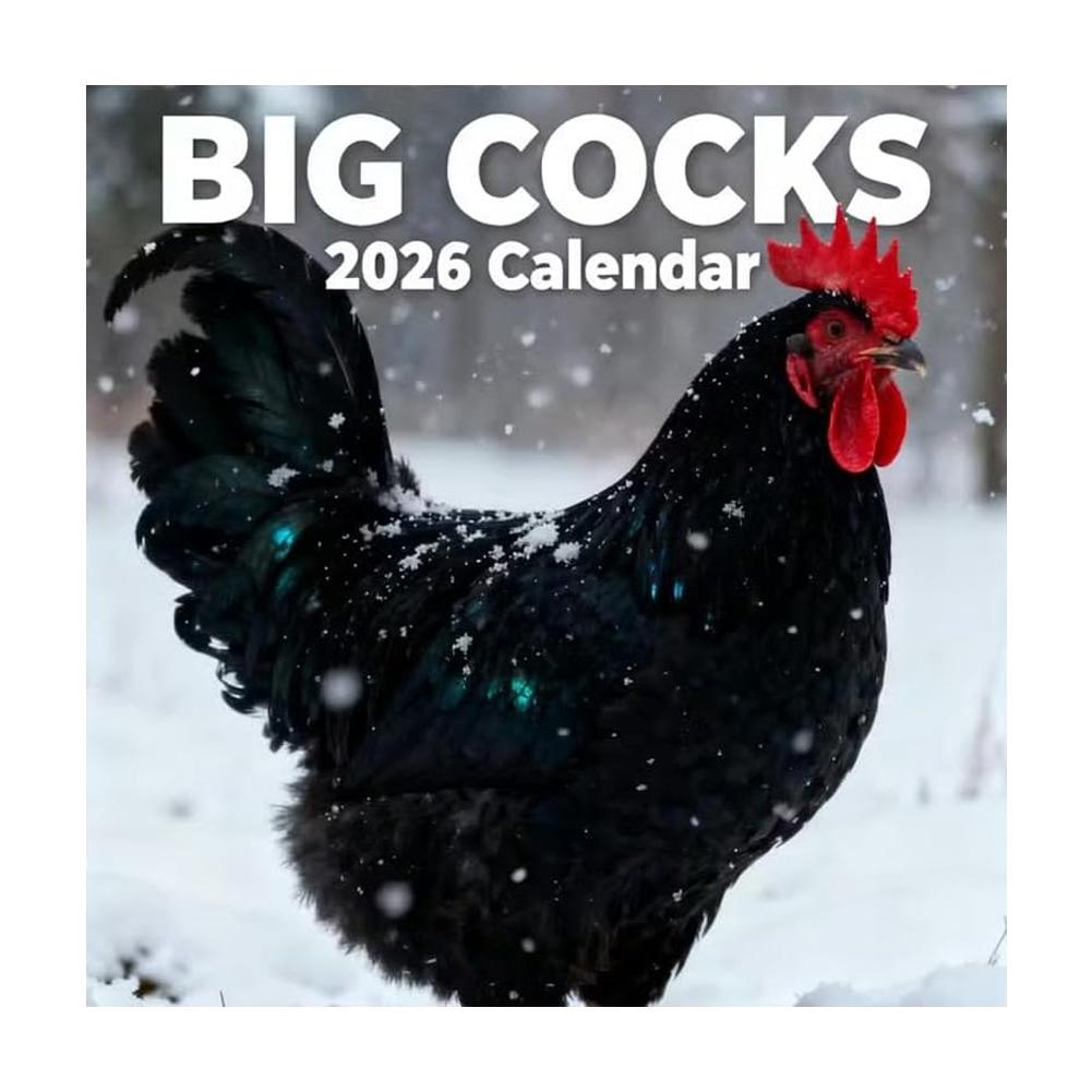 1/3/5Pcs 2026 Fun Rooster Calendar Chicken Illustration Wall Calendar For Home Decor Office Planning Accessory