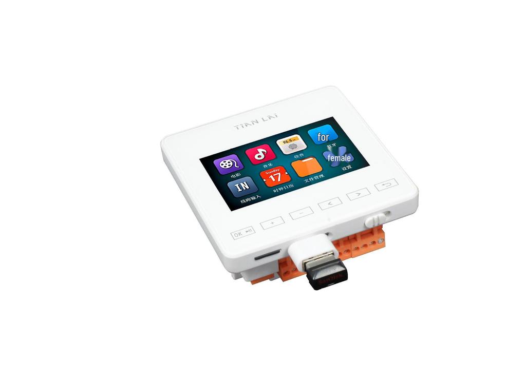 Tianlai Bluetooth Background Music Host: Smart, Simple, and Practical Speaker for Hotels