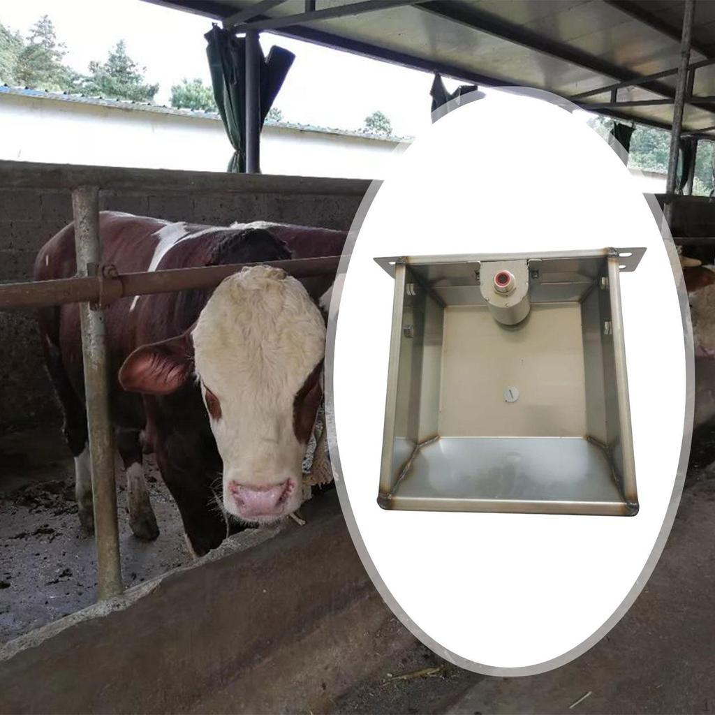 Automatisk drikkekar for kveg, Drikkekar for dyr, Fôring, Rustfritt stål,