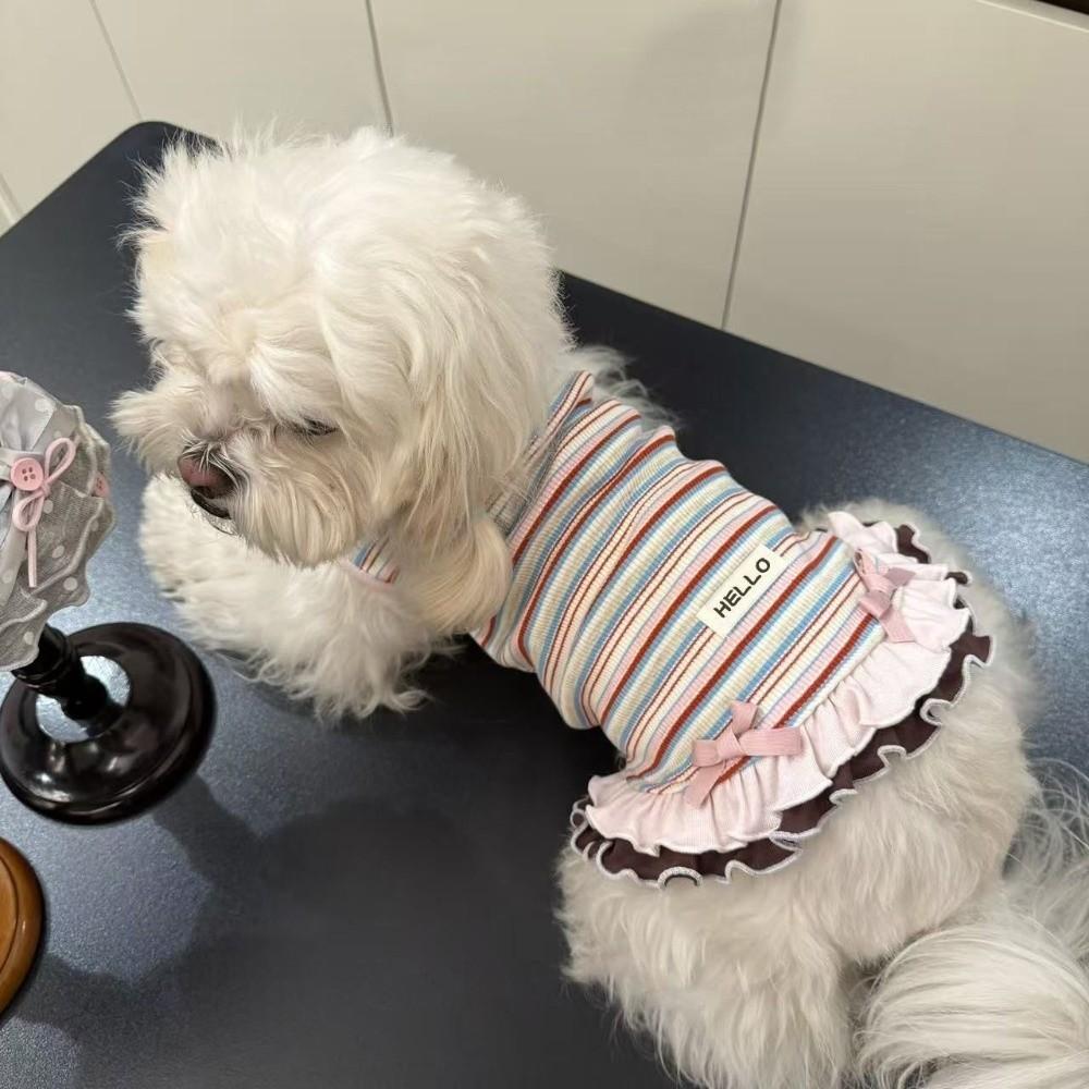 Cute Style Summer Dog Dress Soft Thin Lace Dog Dresses New Teddy Dog Skirt for Small Dogs