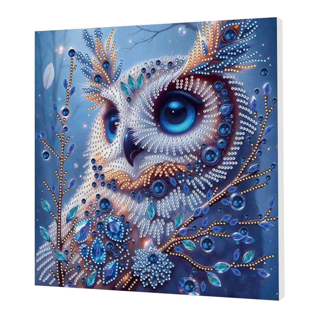 DIY Special Shape Drill Art Craft Pearl Diamond Painting with Frame 25x25cm Pearl Art Painting Set for Adults Home Wall Decor