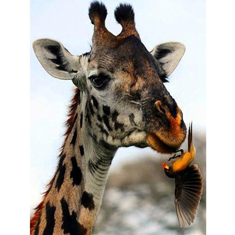 DIY 5D Diamond Painting Cross Stitch Kits Full Round Resin Rhinestone Mosaic Daimond Embroidery Animals Giraffe Home Decoration