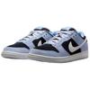 Nike Sb Dunk Low Black Aluminum Skateboard Shoes HF3063-400