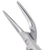 Stainless Steel Dental Extracting Forceps Dental Root Residual Fragment Forceps Pliers