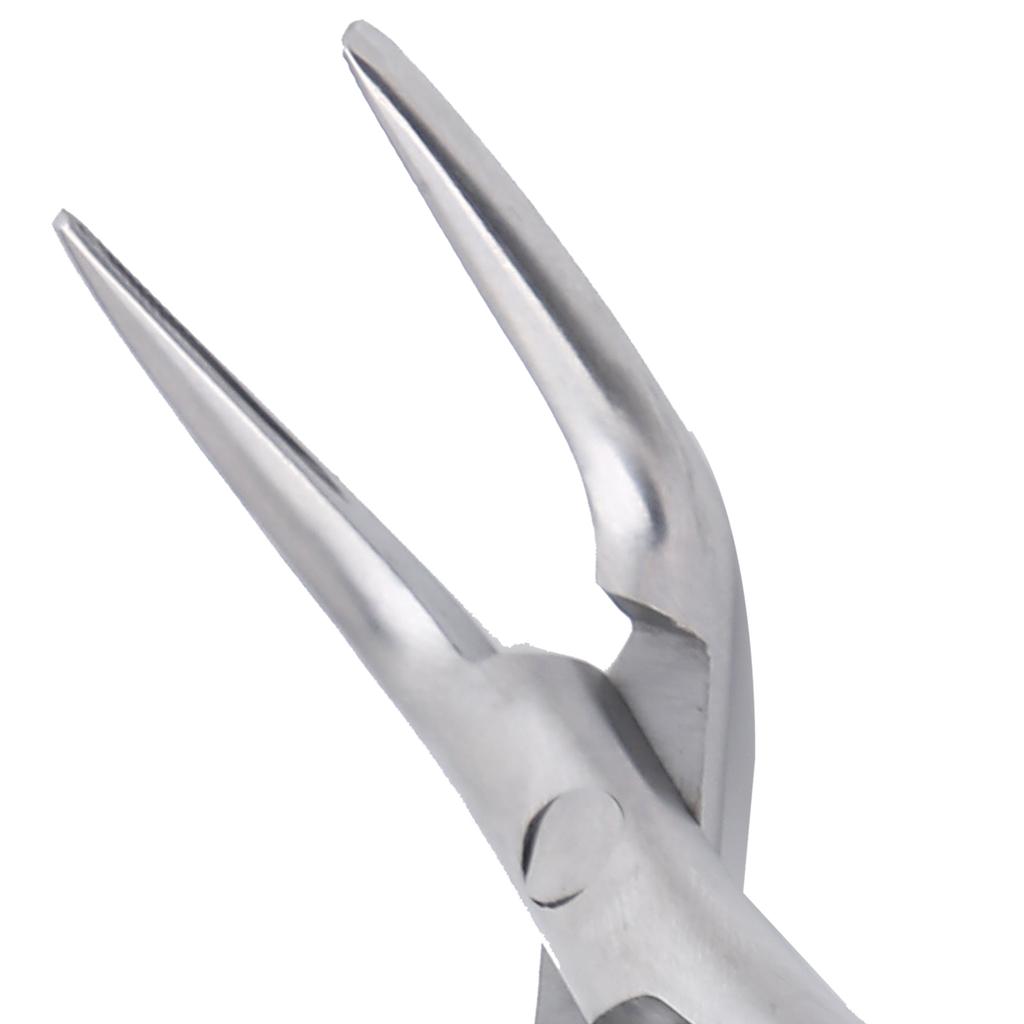 Stainless Steel Dental Extracting Forceps Dental Root Residual Fragment Forceps Pliers