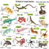 Large Insect Toy Set: Butterfly, Bee, Dragonfly, Ant, Cicada, and Rhinoceros Beetle Models for Kids
