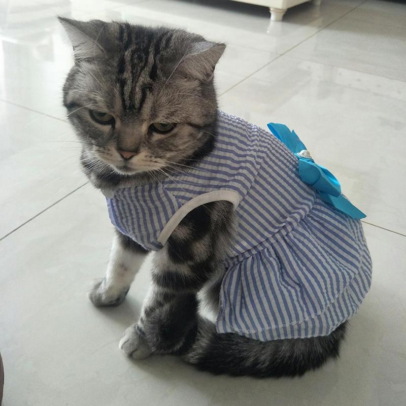 Cat Puppy Princess Dress Summer Pet Clothes Striped Plaid Dresses with Bow for Cats Kitten Rabbit Sphynx Clothing Ropa Para Gato