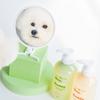 Hey Happy Buddy Pure Water Perfume Balm Pet Body Wash White Wood, Korean Pet Shampoo