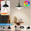 LED light bulb, E26 base, 6.9W (equivalent to 60W incandescent bulb), daylight white (5000K), 830lm, high brightness (Ra93), wide beam angle, high