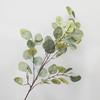 Eucalyptus Money Leaf Artificial Plant for Home Decoration
