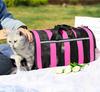 Breathable Mesh Crossbody Pet Backpack for Dogs & Cats