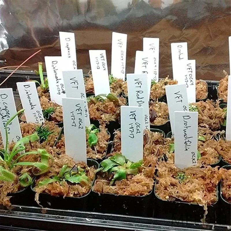 100Pcs/200Pcs Plant Label With Pen,Plant Label Seed Label Permanent Marker Pen Outdoor Garden Plant Marker, White