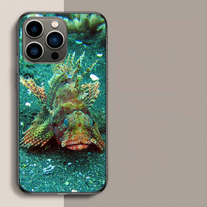 Clown Fish in the Sea or Ocean Phone Case For Iphone 17 Air 15 Pro 14 Plus 16 Pro Max 17E 16E 12 13 Mini 11 Cover Cute Fundas