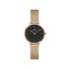 Danielwellingteon Petite Pressed Melrose Metal Watch