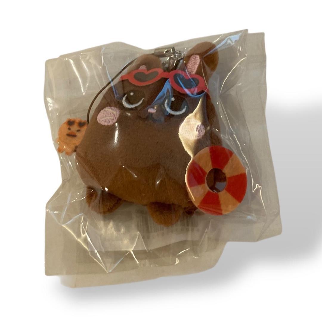 

[USED] Won Bin Rise Korea Exclusive 2025 RIIZE Concert Keychain