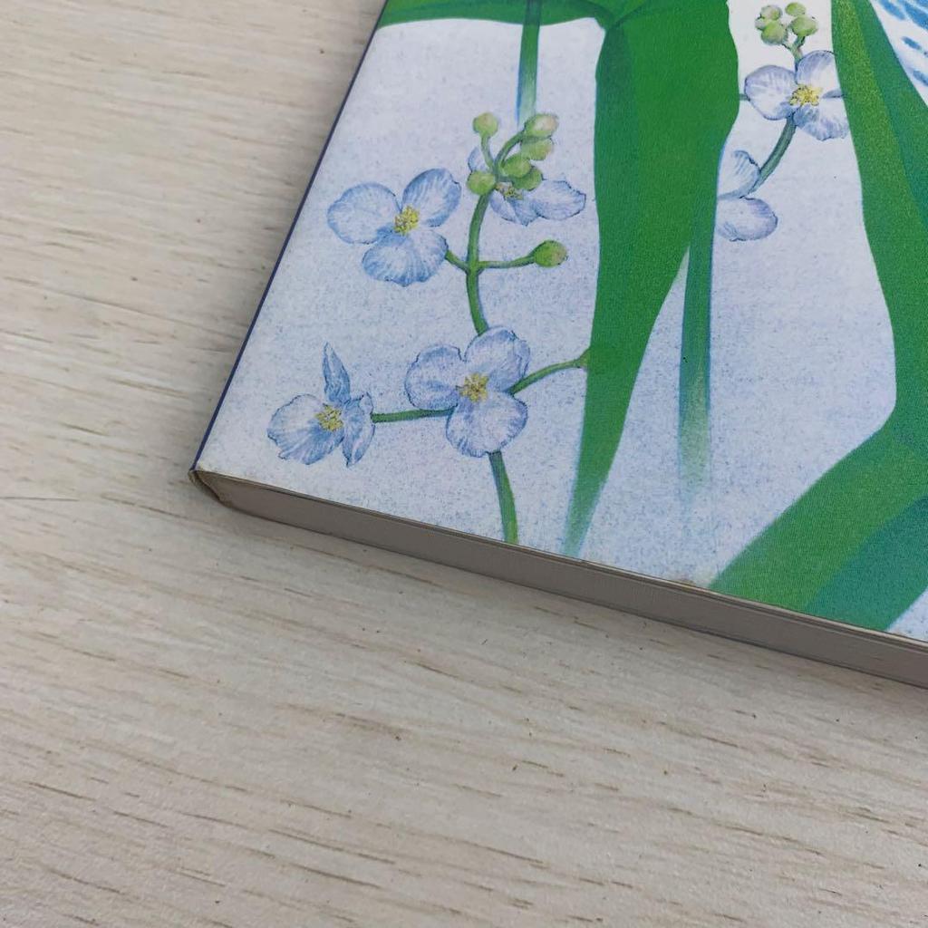 [USED] Watermark: Minako Narita Art Collection First Edition Watermark