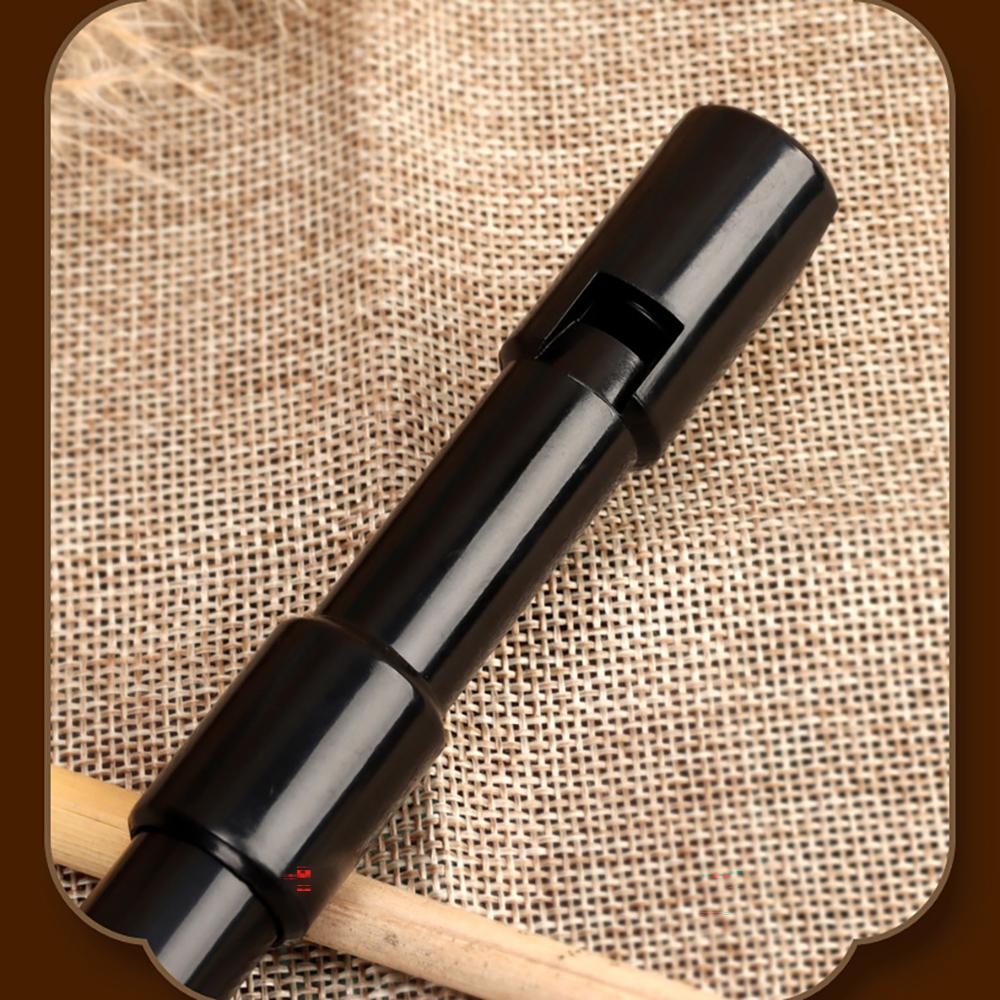 Registratore Schwinger a 6 Fori Chiave D Resina per Principianti Portatile Non Tossico Flauto Registratore Bambini Musica
