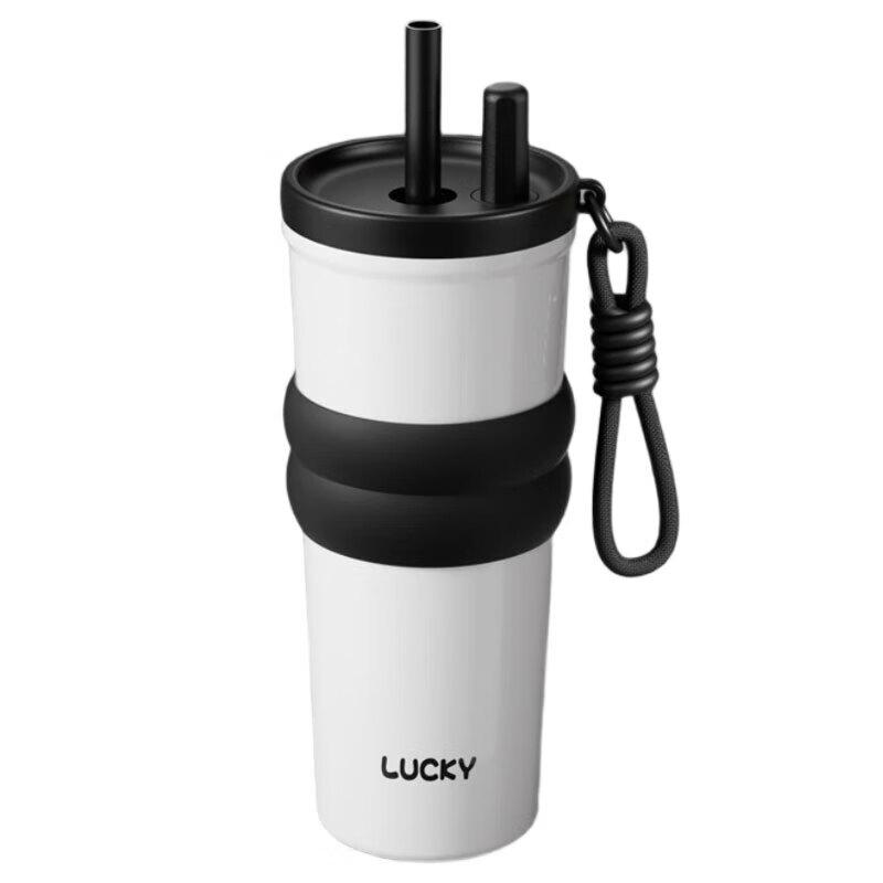 Carbotton 750ml 316 Stainless Steel Insulated Straw Tumbler